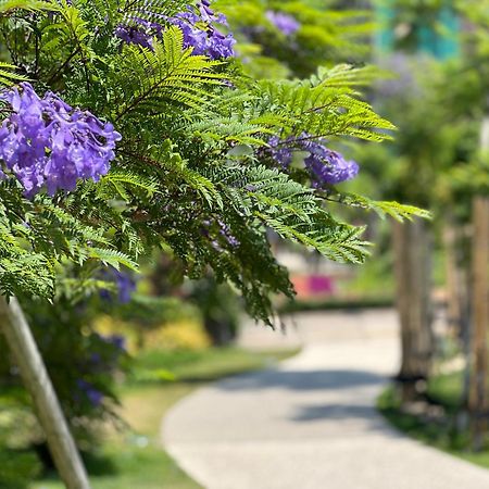ゲストハウスあさひ Atami  Bagian luar foto